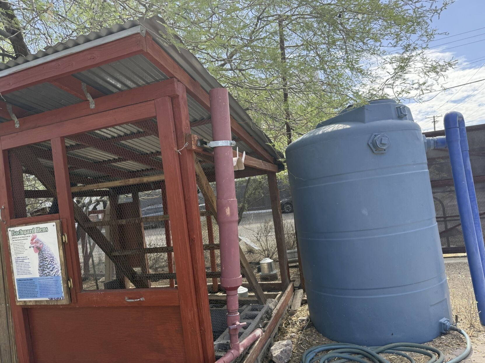 Rainwater harvesting grows to nourish thirsty gardens in Tucson, beyond
